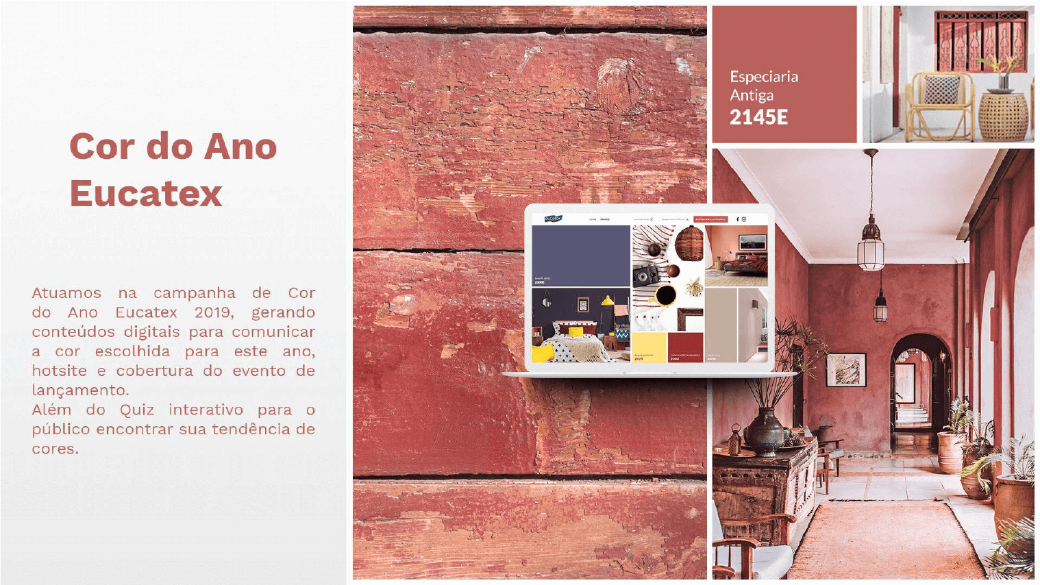 agencia-lema-case-eucatex-cor-do-ano