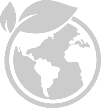 agencia-lema-marketing-digital